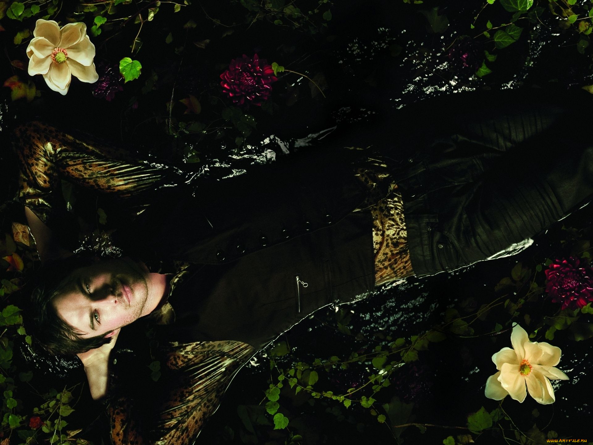the, vampire, diaries, , , ian, somerhalder